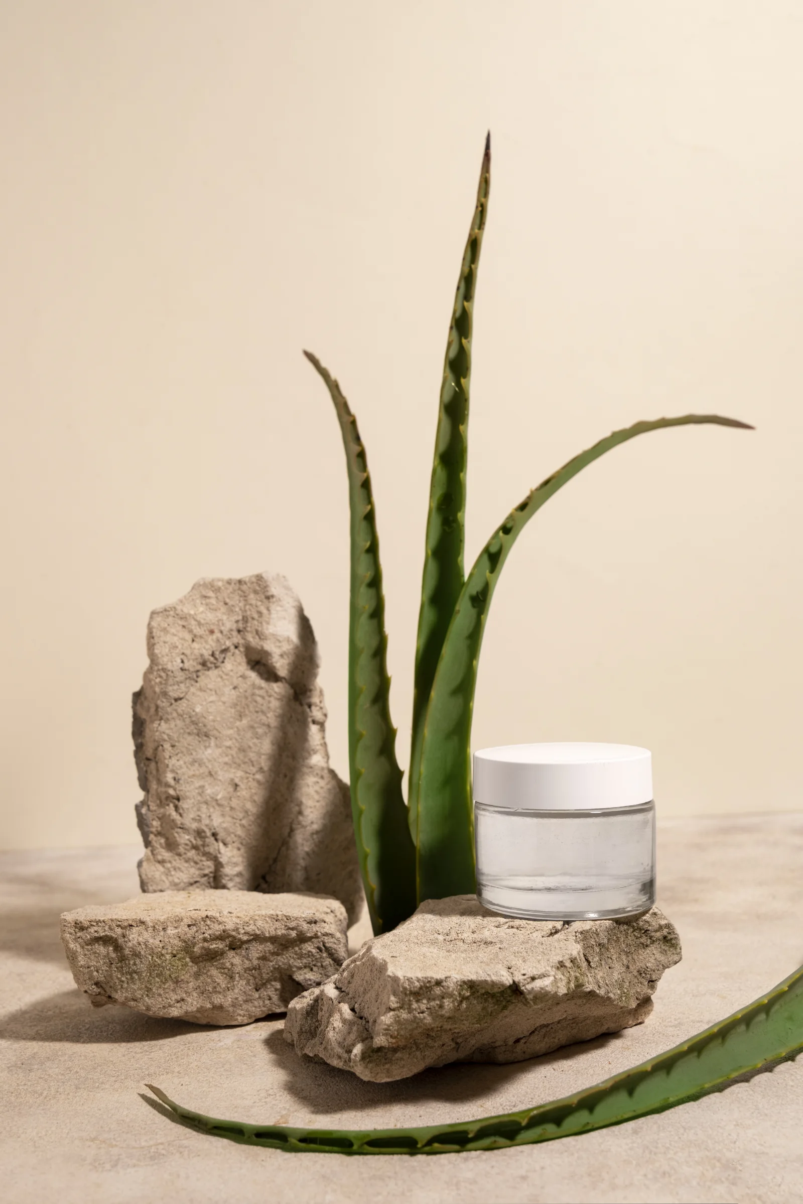 Folha fresca de Aloe vera sendo cortada para extração do gel puro e transparente